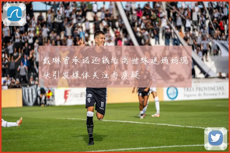 戴琳曾承诺还钱给离世球迷妈妈现状引发媒体关注与质疑