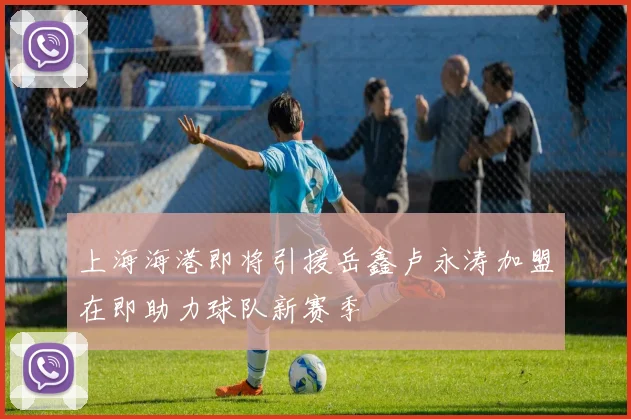 上海海港即将引援岳鑫卢永涛加盟在即助力球队新赛季