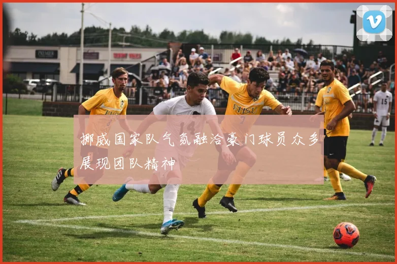 挪威国家队气氛融洽豪门球员众多展现团队精神