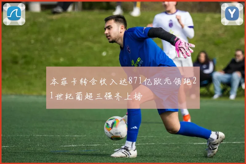 本菲卡转会收入达871亿欧元领跑21世纪葡超三强齐上榜